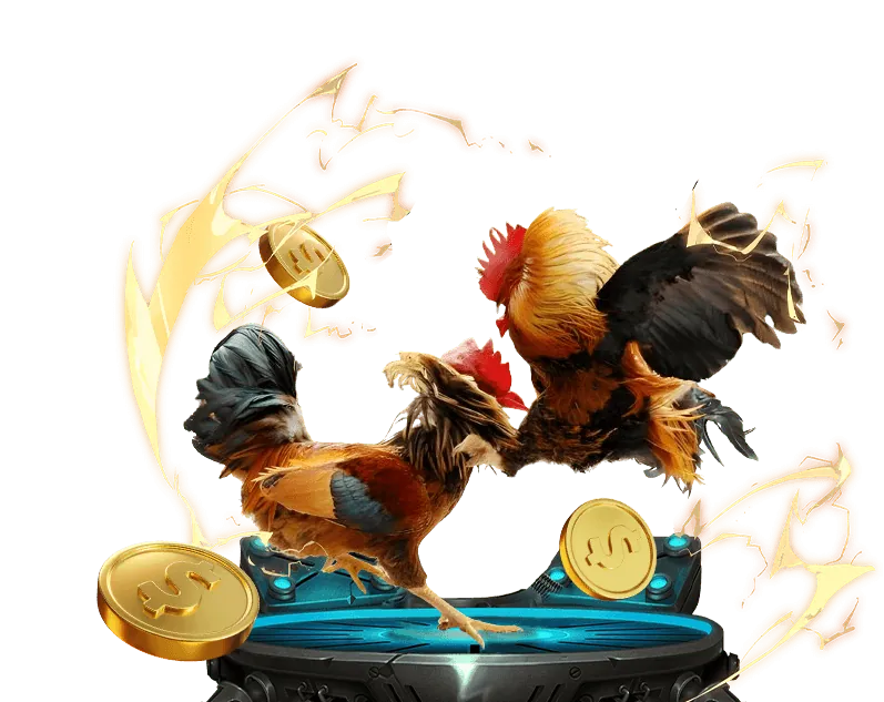 Tổng quan tin tức Fly88 và các cập nhật quan trọng